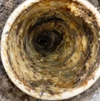 Gordura acumulada no cano